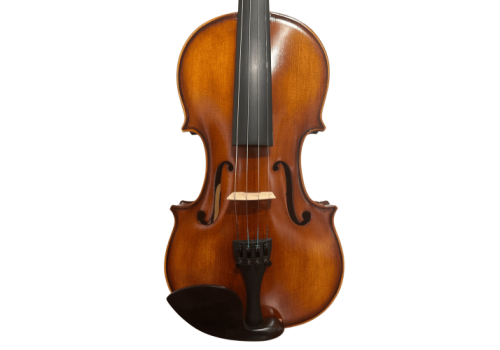 VIOLIN MARTE M20 (1/10)